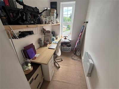 Picture 7